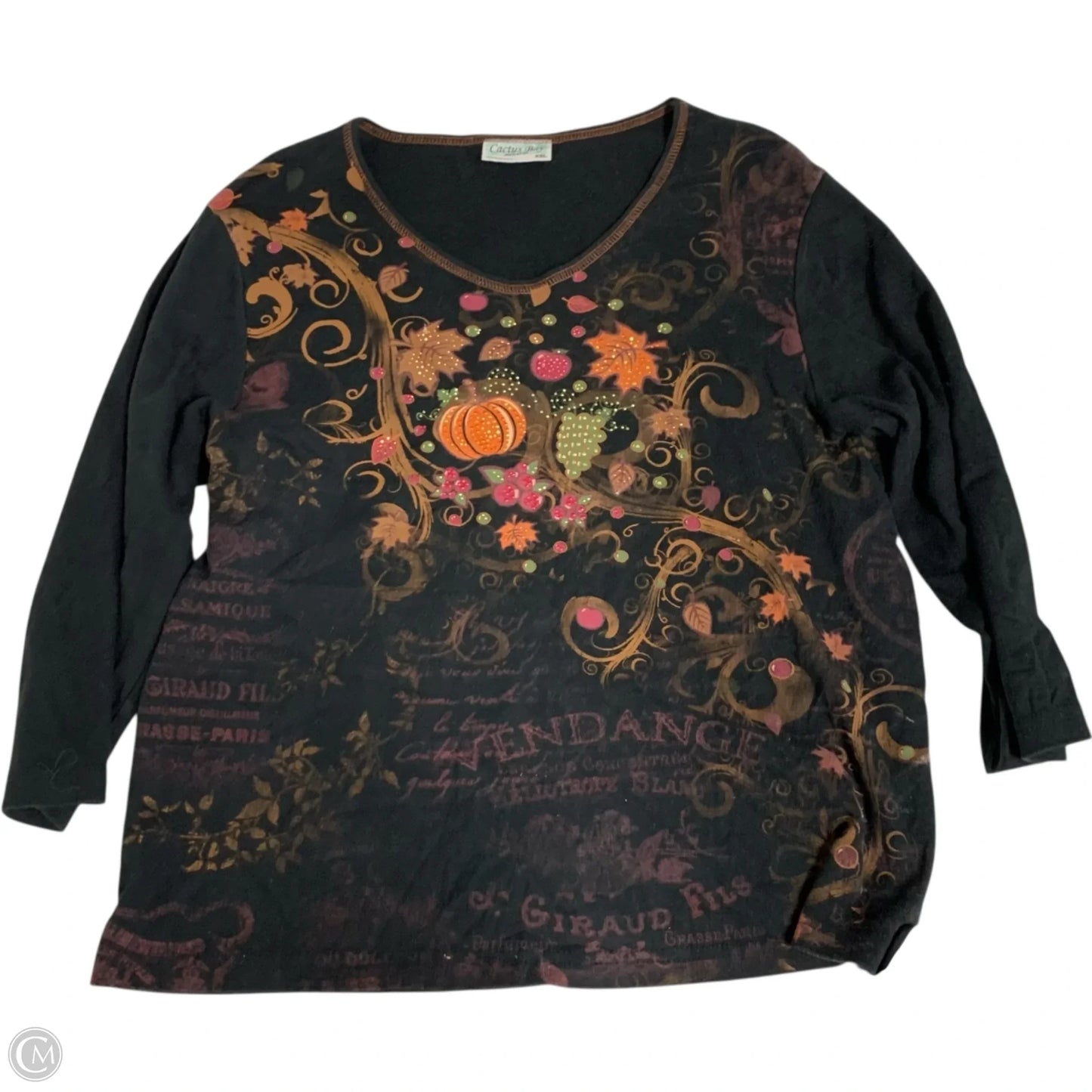 Top Long Sleeve By Cactus Bay In Black & Brown, Size: 1x