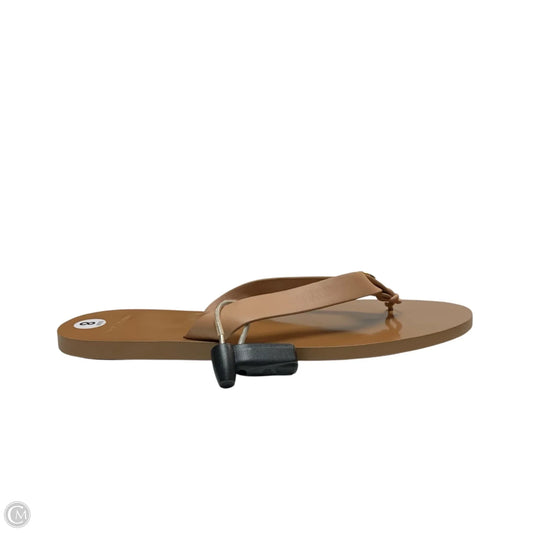 Sandals Designer By Tory Burch In Brown, Size: 8