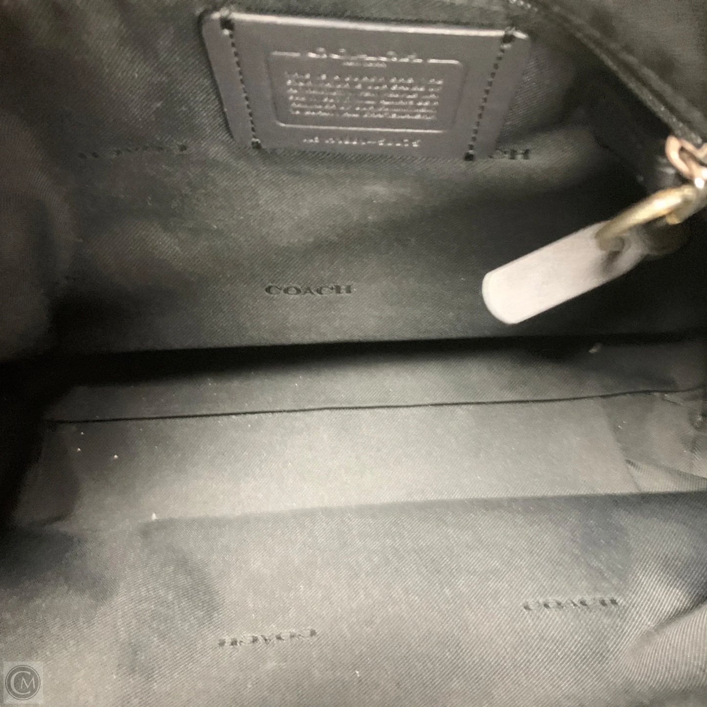 Crossbody Designer By Coach, Size: Large