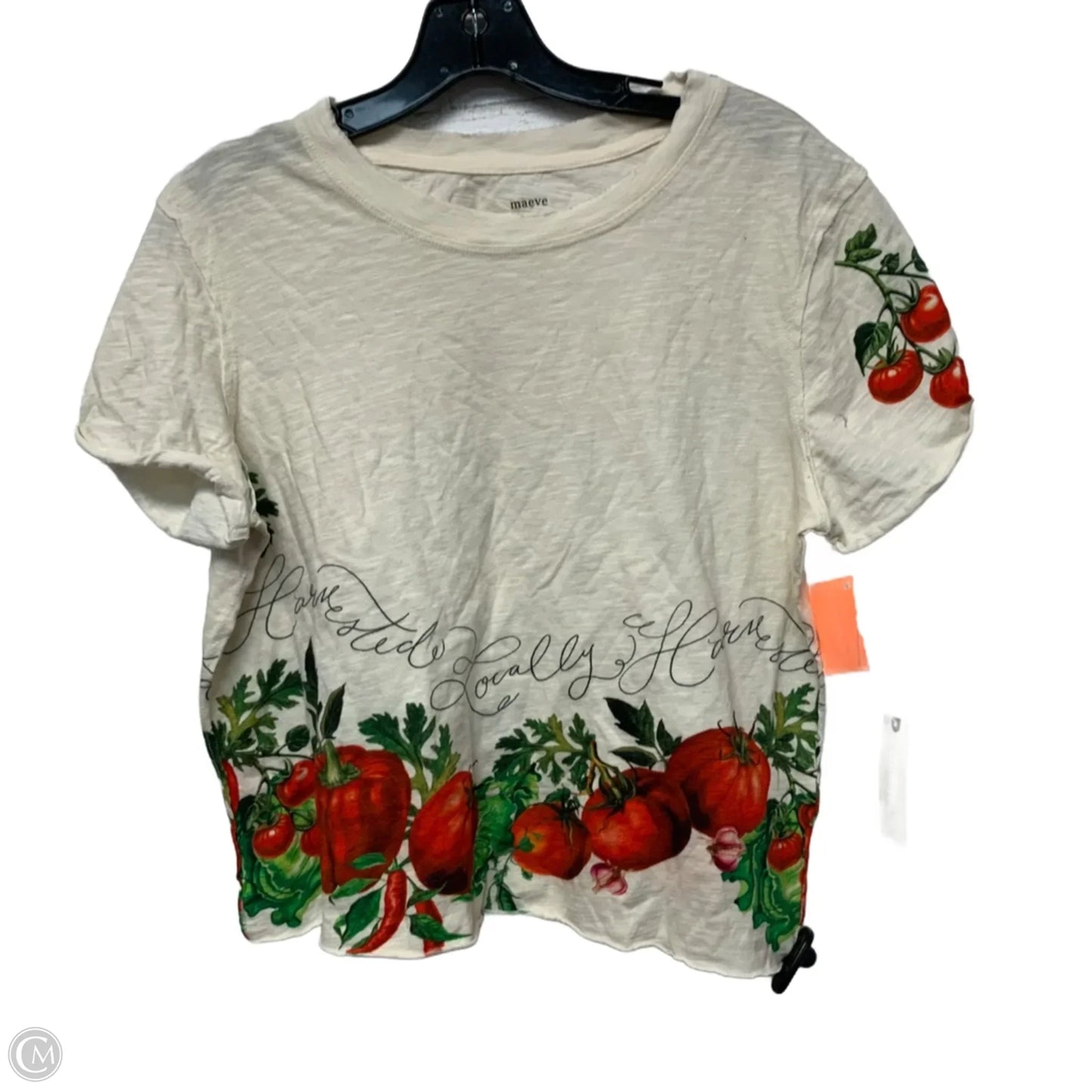 Top Short Sleeve By Maeve In Cream, Size: S