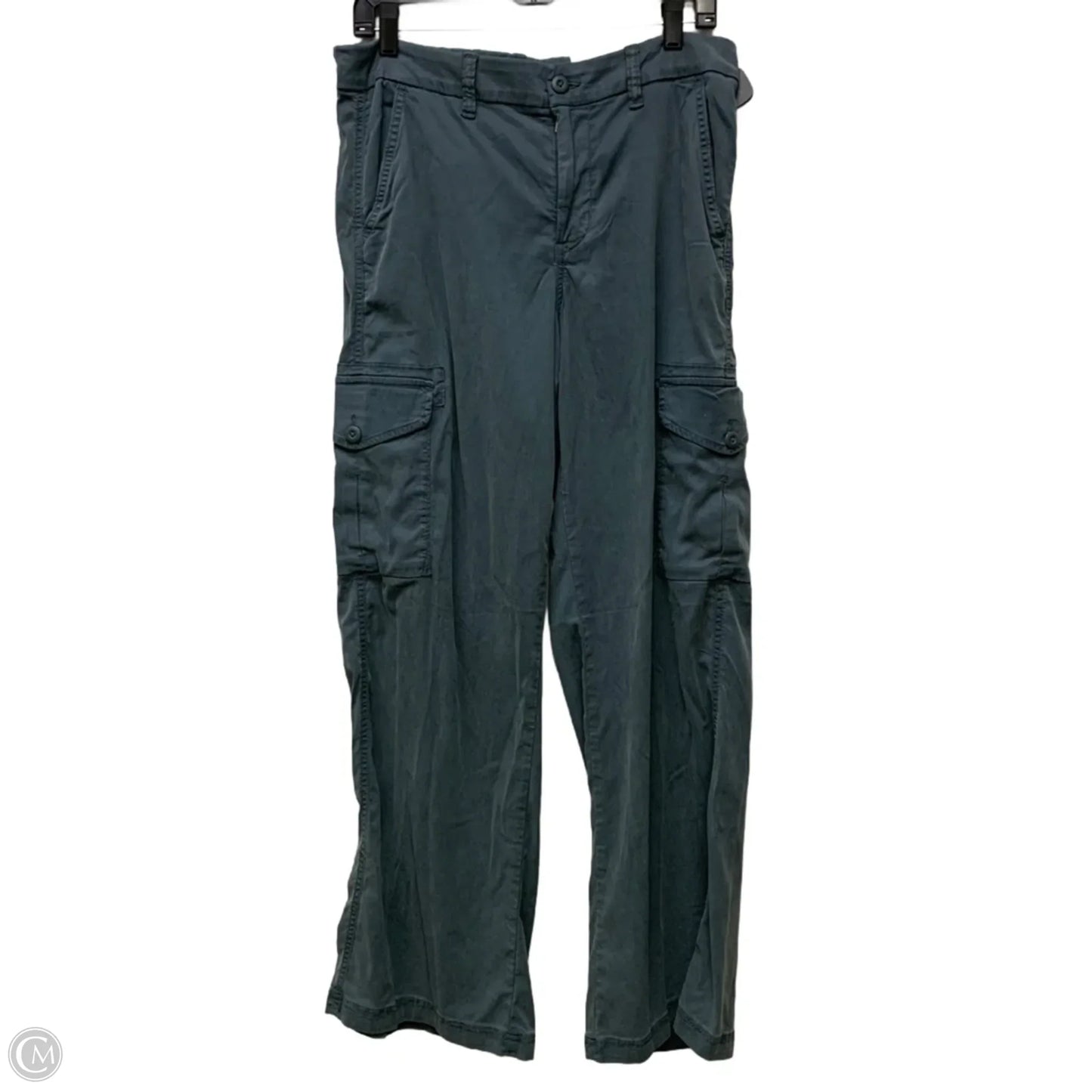 Pants Cargo & Utility By American Eagle In Blue, Size: 8