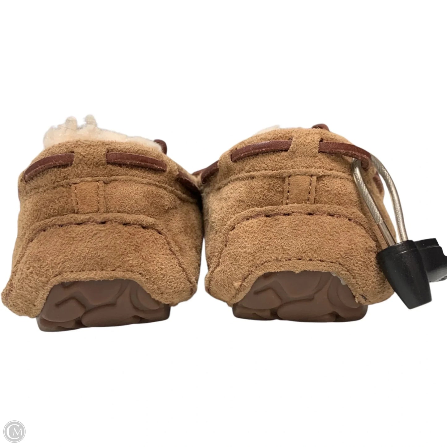 Shoes Designer By Ugg In Brown, Size: 8
