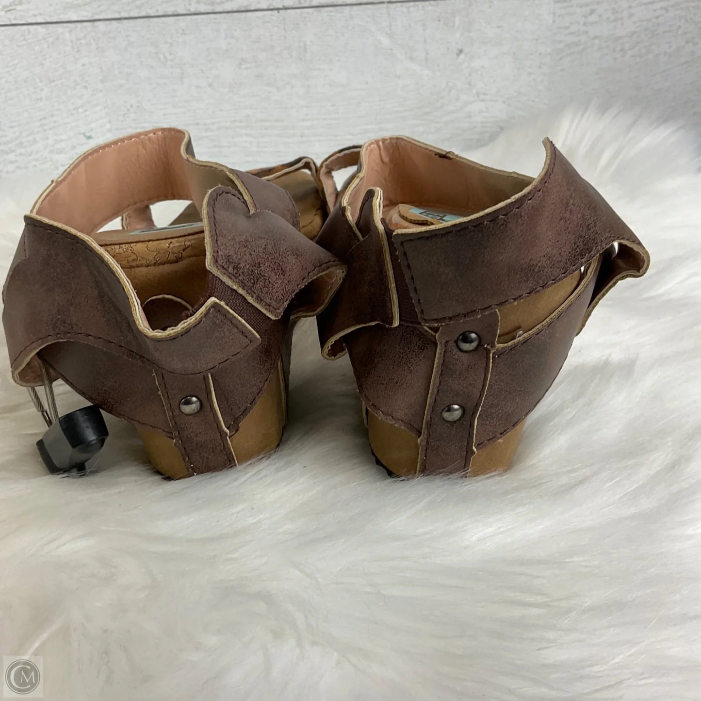 Shoes Heels Wedge By Clothes Mentor In Animal Print, Size: 9.5