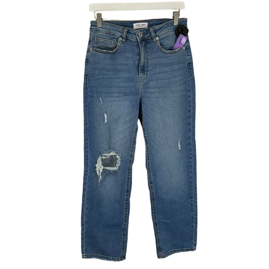 Blue Denim Jeans Straight Clothes Mentor, Size M