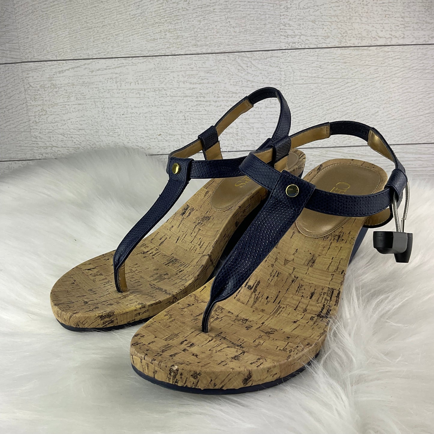 Sandals Heels Wedge By Chaps In Blue, Size: 10