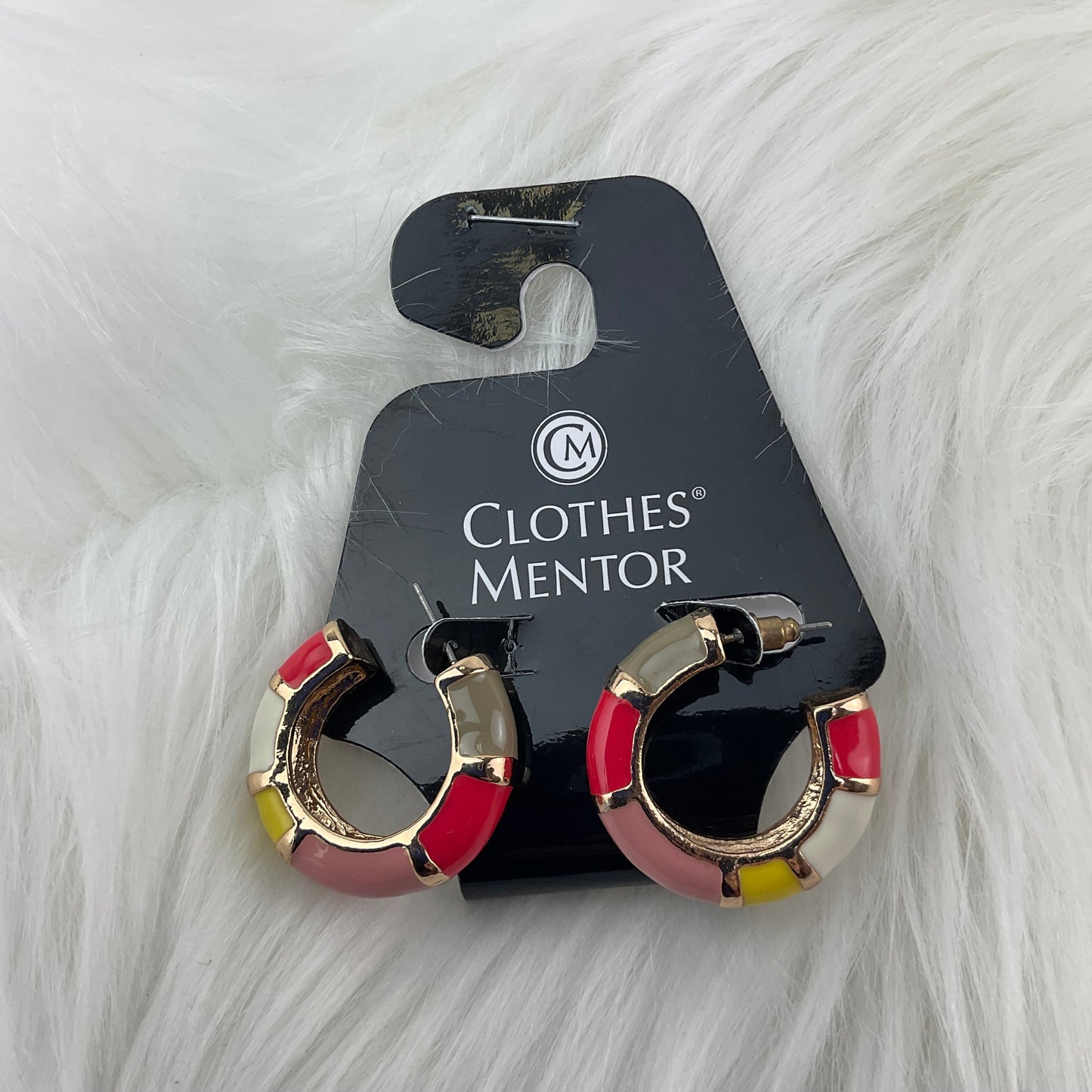 Earrings Hoop Clothes Mentor