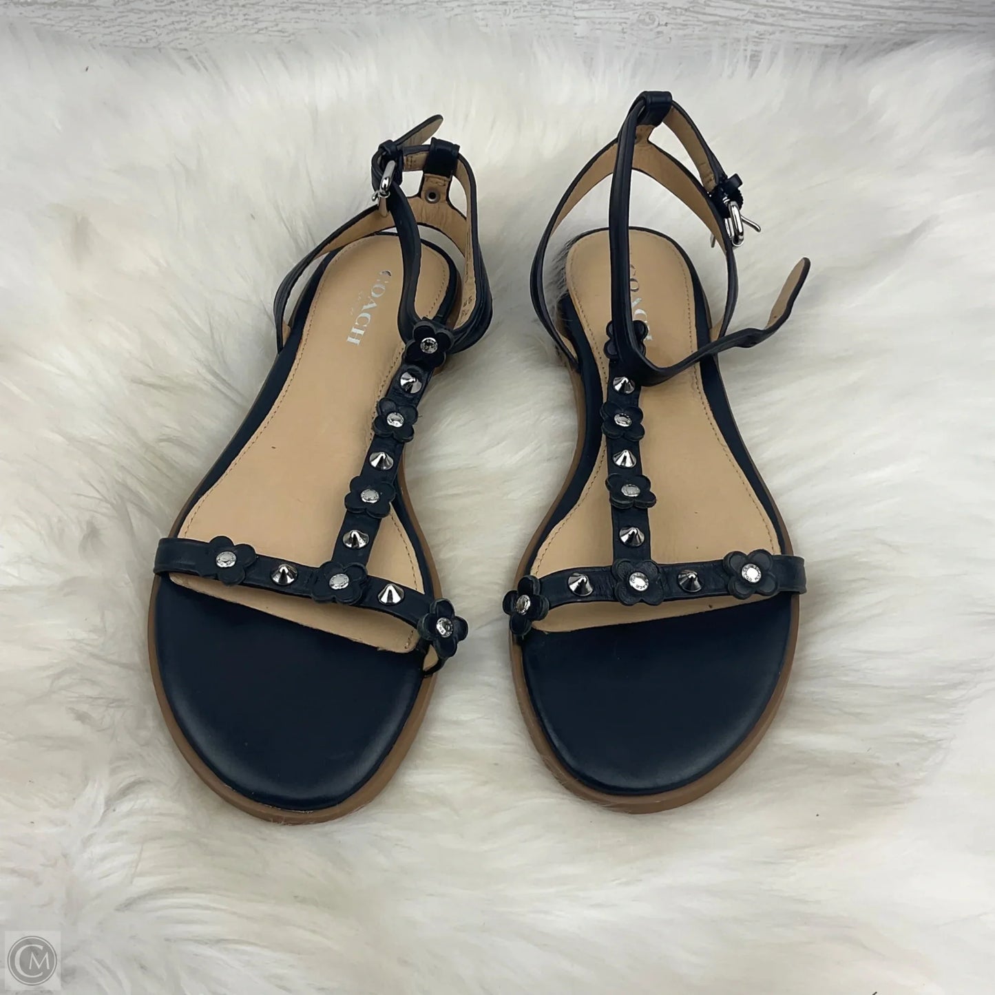 Sandals Designer By Coach In Navy, Size: 5