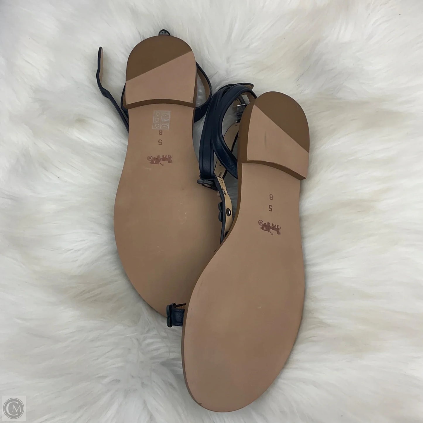 Sandals Designer By Coach In Navy, Size: 5