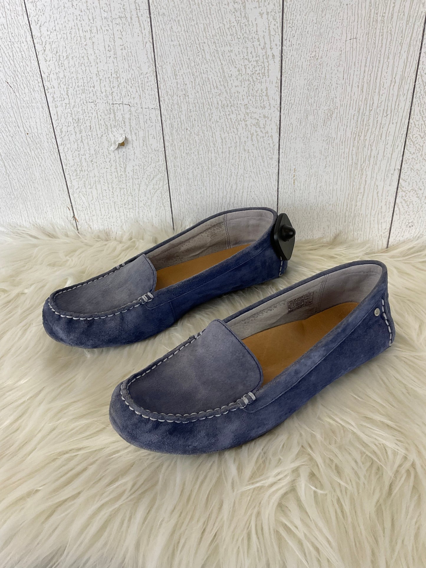 Blue Shoes Designer Ugg, Size 9.5