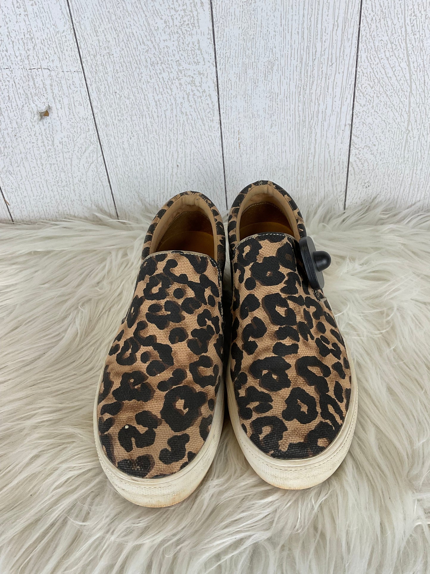 Shoes Flats By Steve Madden In Animal Print, Size: 8.5