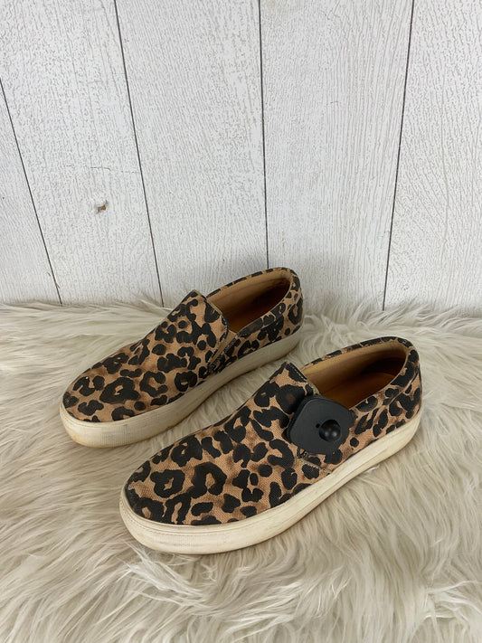 Shoes Flats By Steve Madden In Animal Print, Size: 8.5