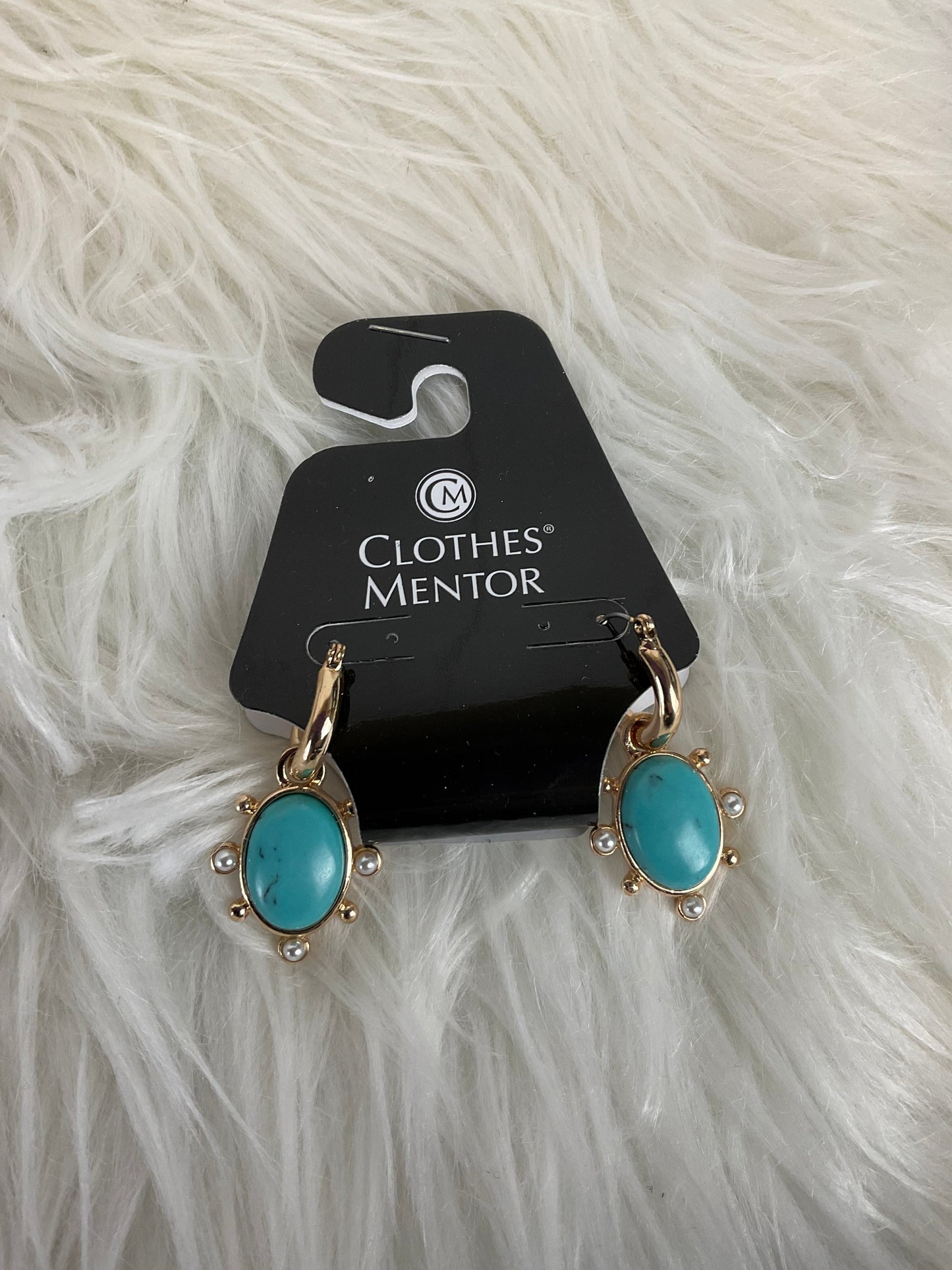 Earrings Dangle/drop Clothes Mentor