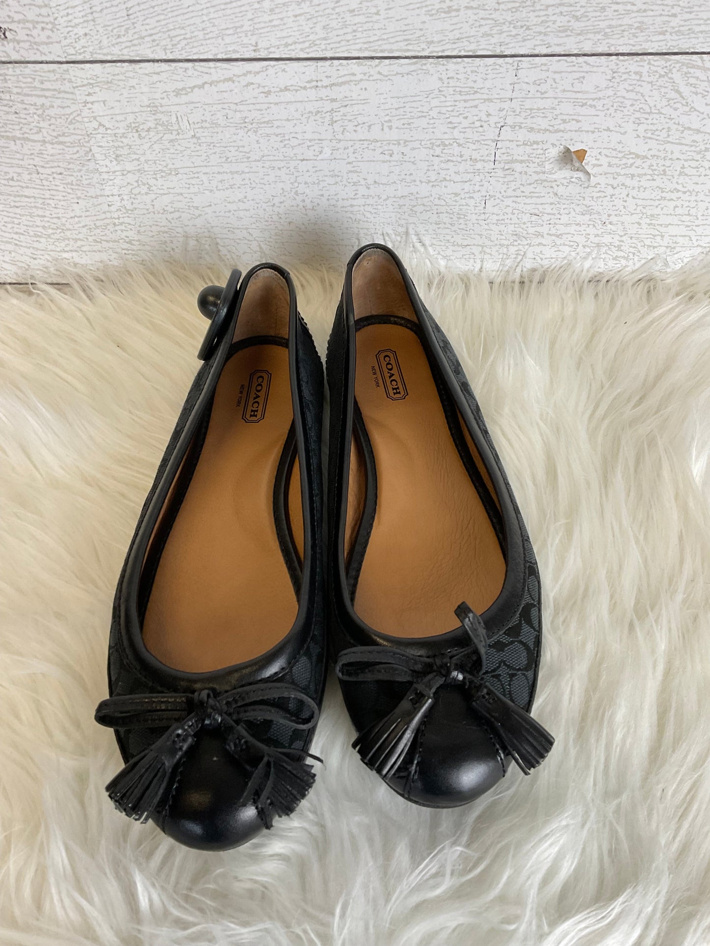 Black Shoes Designer Coach, Size 8