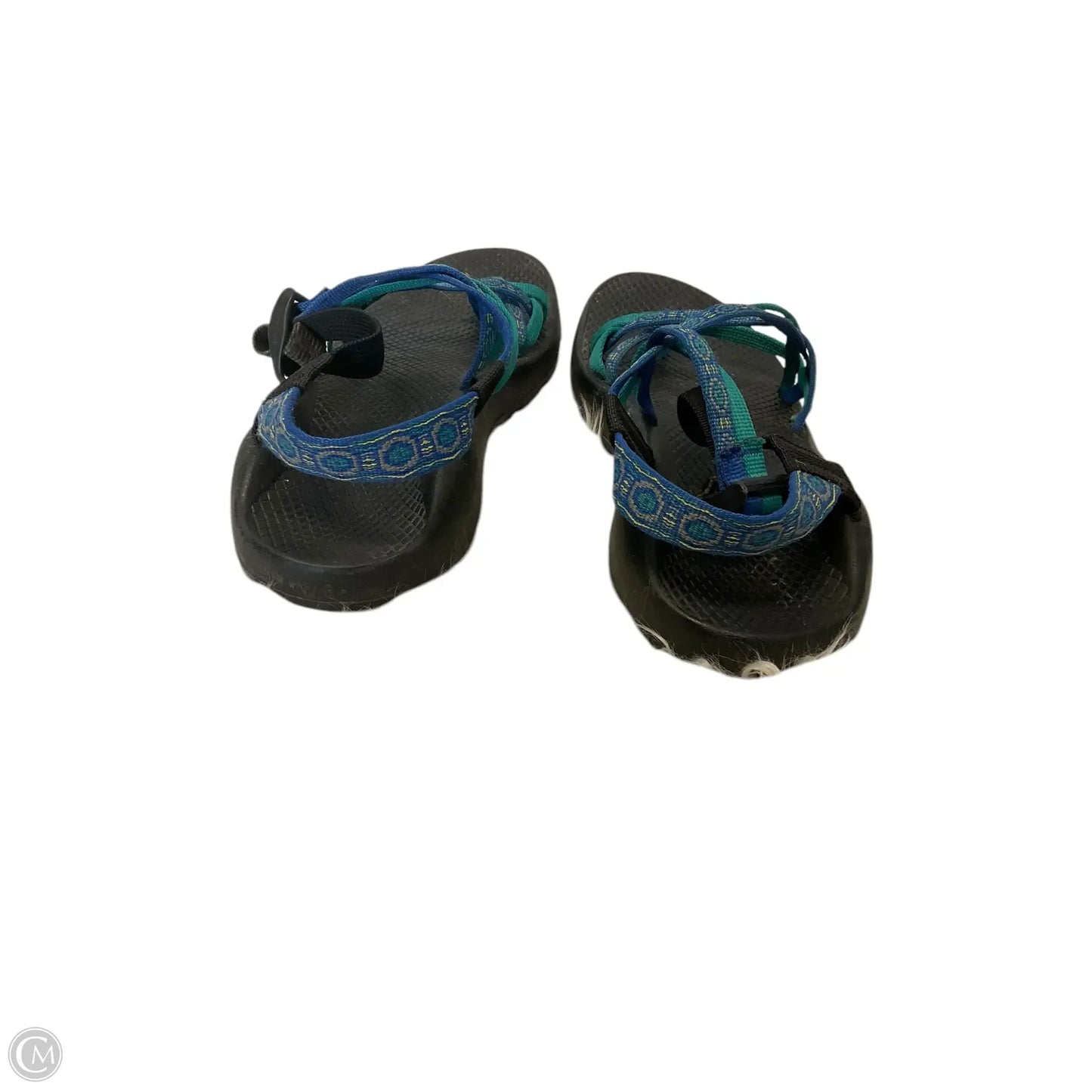 Sandals Sport By Chacos In Blue, Size: 8