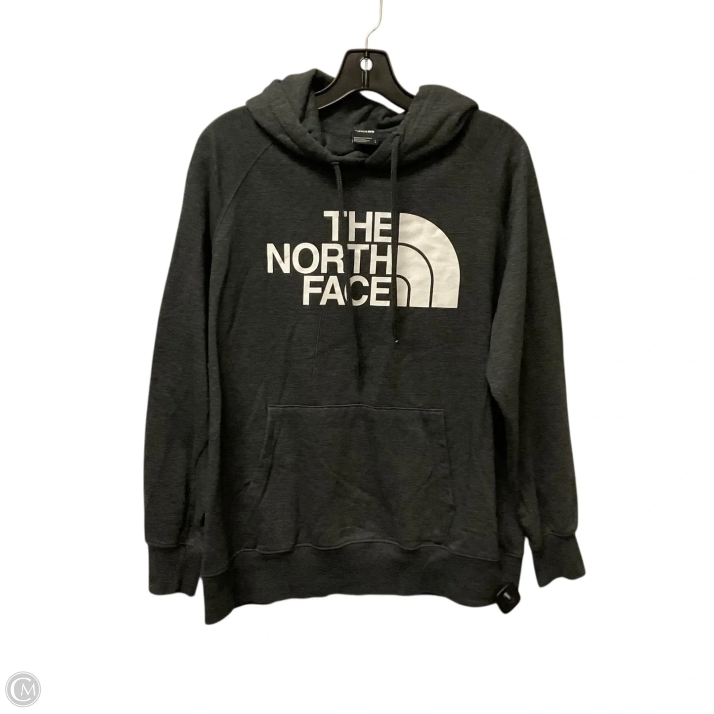 Sweatshirt Hoodie By The North Face In Grey, Size: L