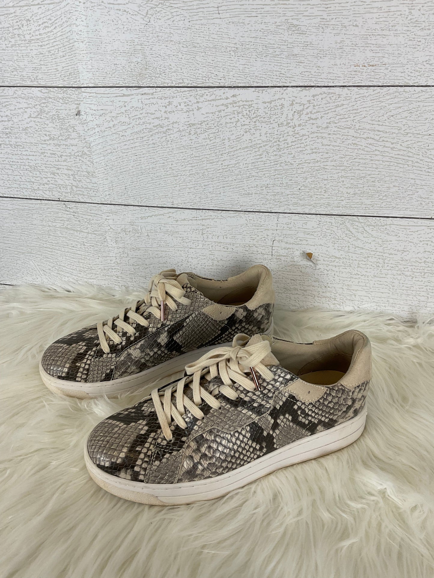 Snakeskin Print Shoes Designer Michael Kors, Size 7