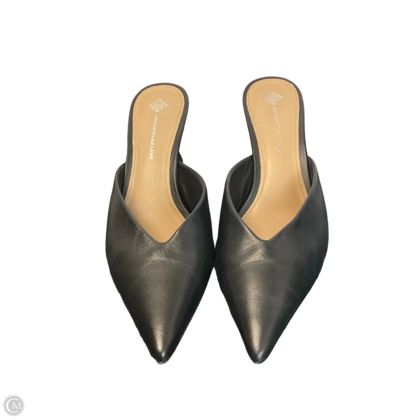 Shoes Heels Kitten By Antonio Melani In Black, Size: 8
