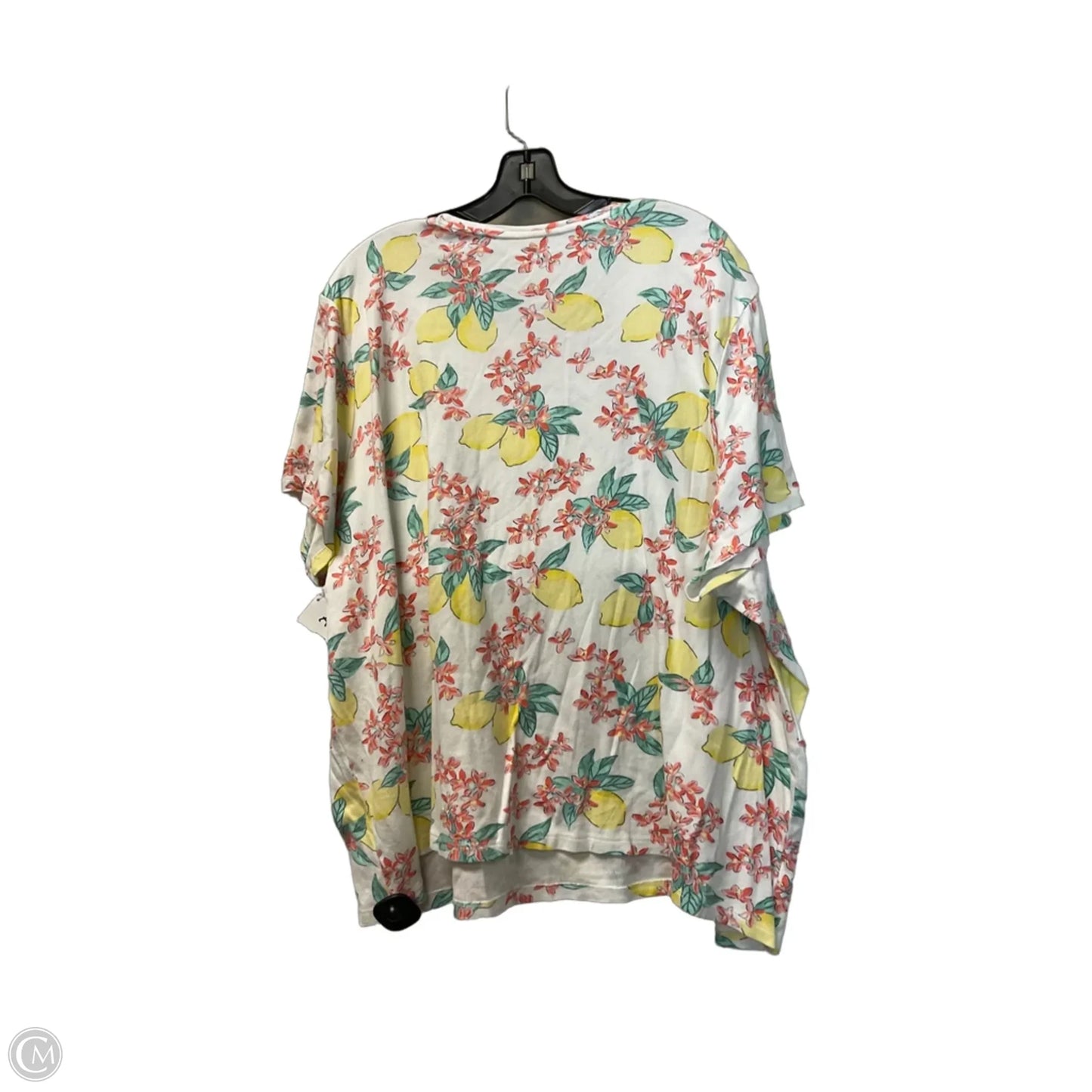 Top Short Sleeve By Kim Rogers In White, Size: 4x