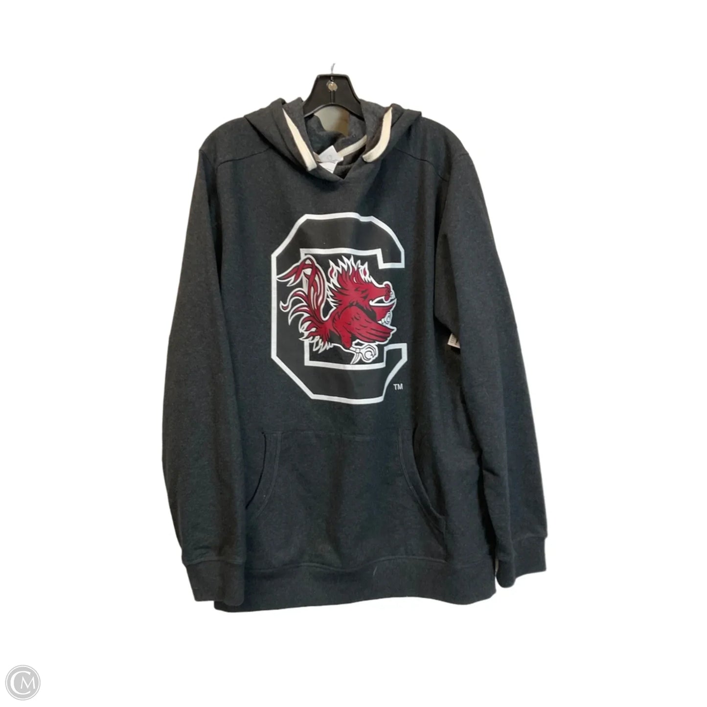 Sweatshirt Hoodie By Clothes Mentor In Grey, Size: 2x