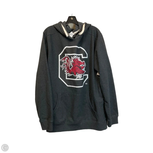 Sweatshirt Hoodie By Clothes Mentor In Grey, Size: 2x