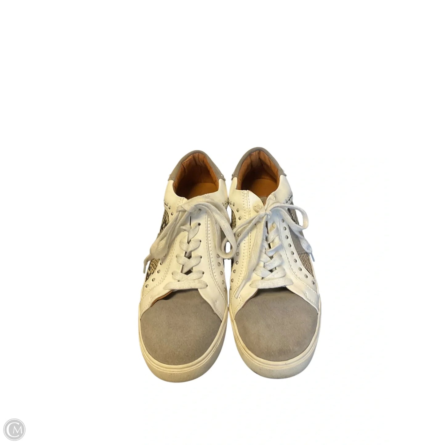 Shoes Sneakers By Steve Madden In Snakeskin Print, Size: 7