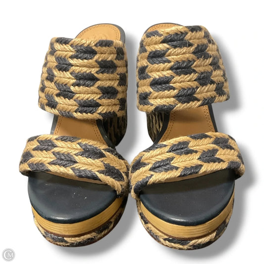 Shoes Designer By Tory Burch In Blue, Size: 7