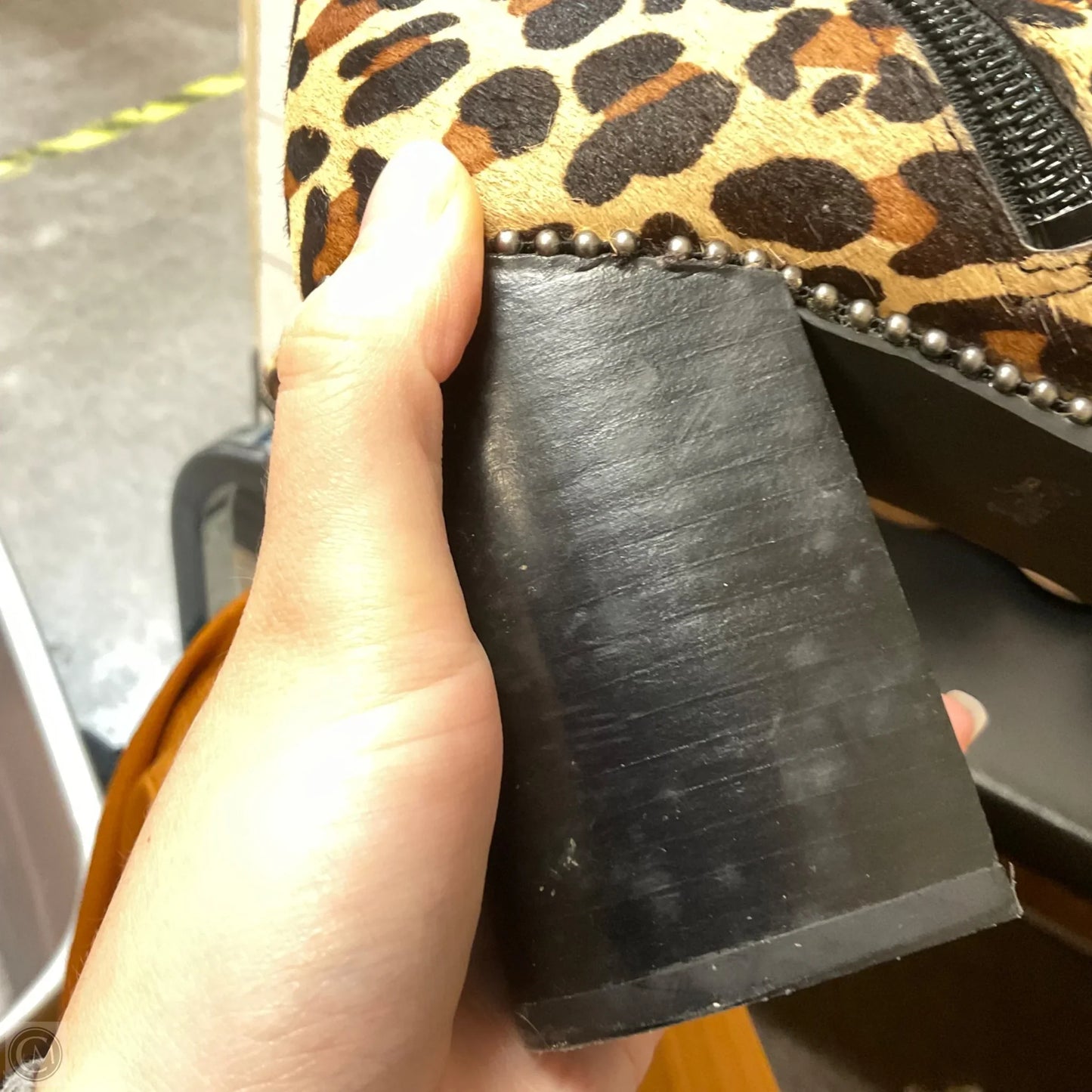 Boots Designer By Coach In Animal Print, Size: 8.5