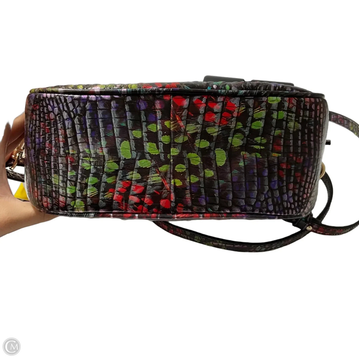 Crossbody Designer By Brahmin, Size: Small