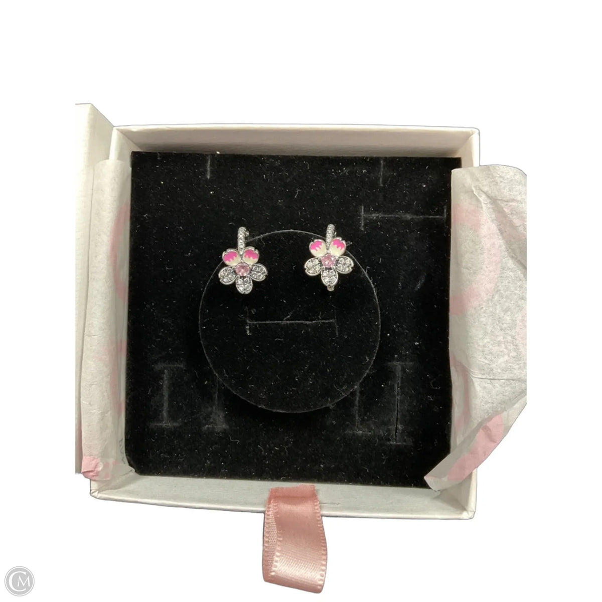 Earrings Hoop By Pandora