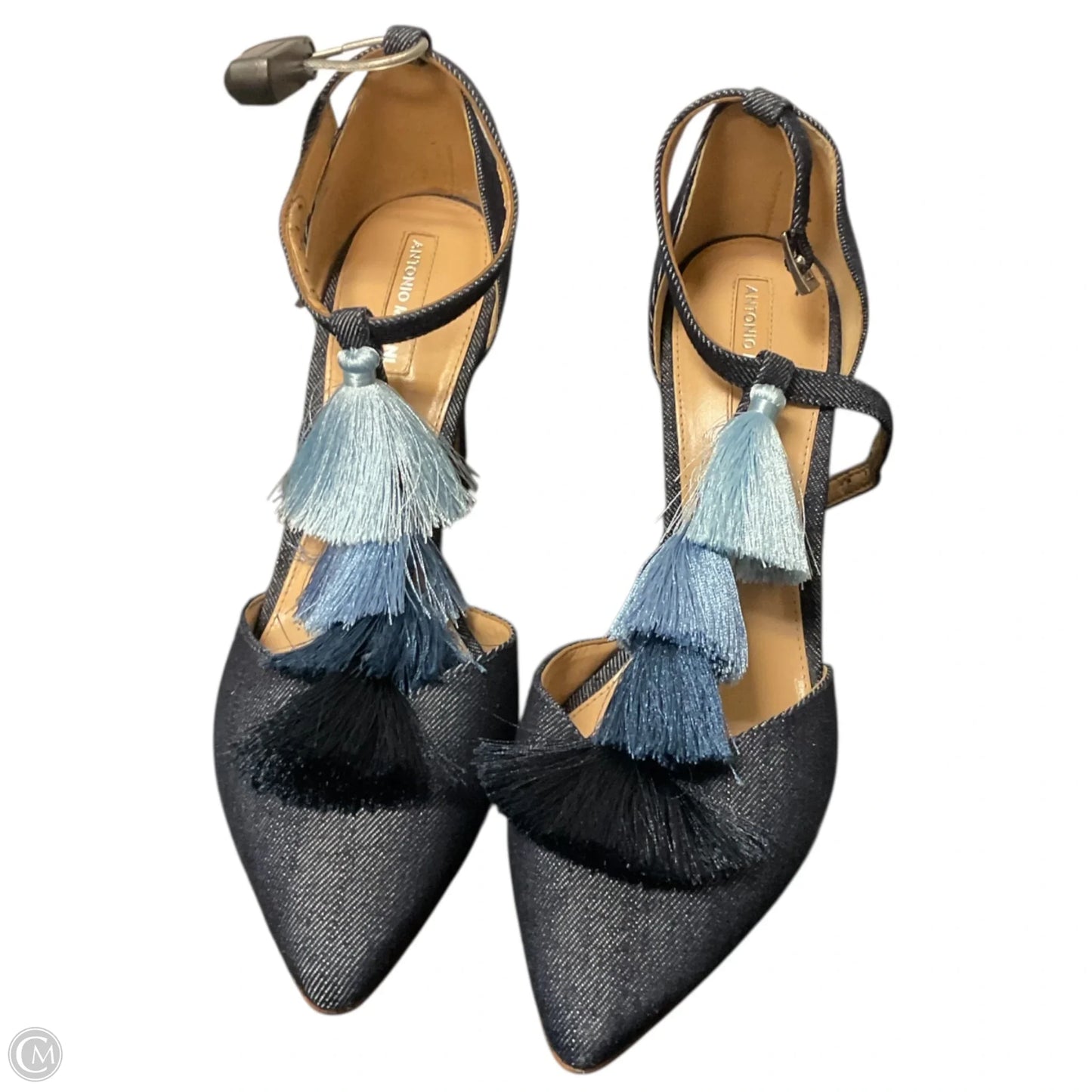 Shoes Heels Stiletto By Antonio Melani In Blue, Size: 8.5