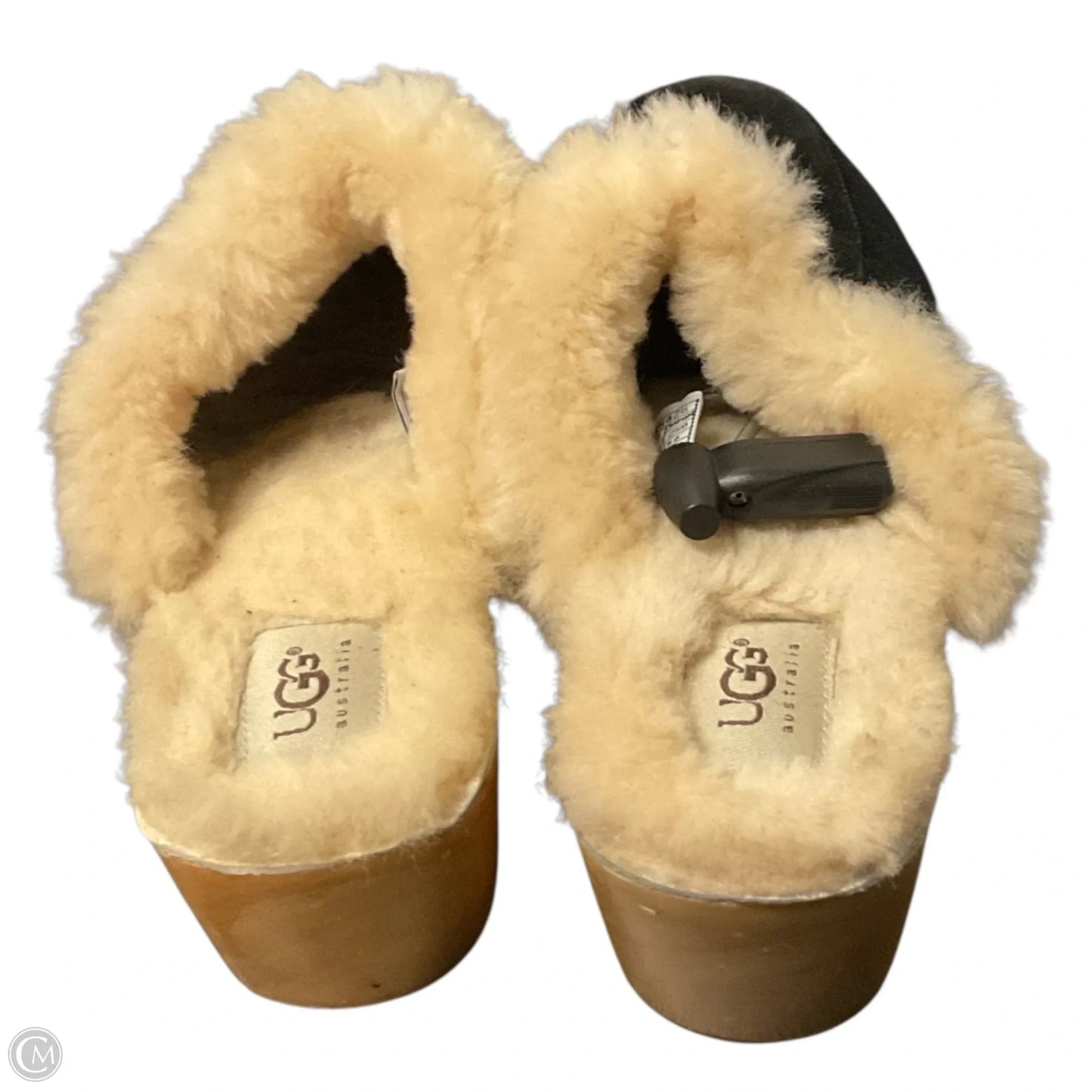 Shoes Designer By Ugg In Black, Size: 8