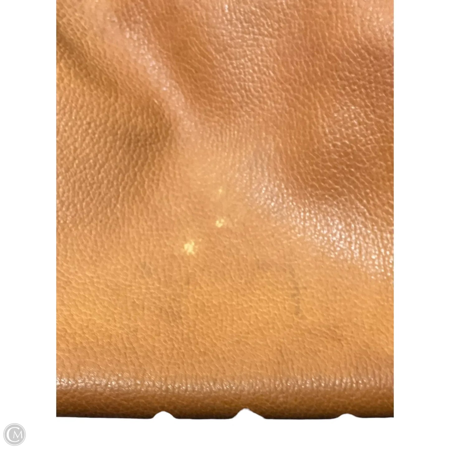 Handbag Luxury Designer By Loewe, Size: Large