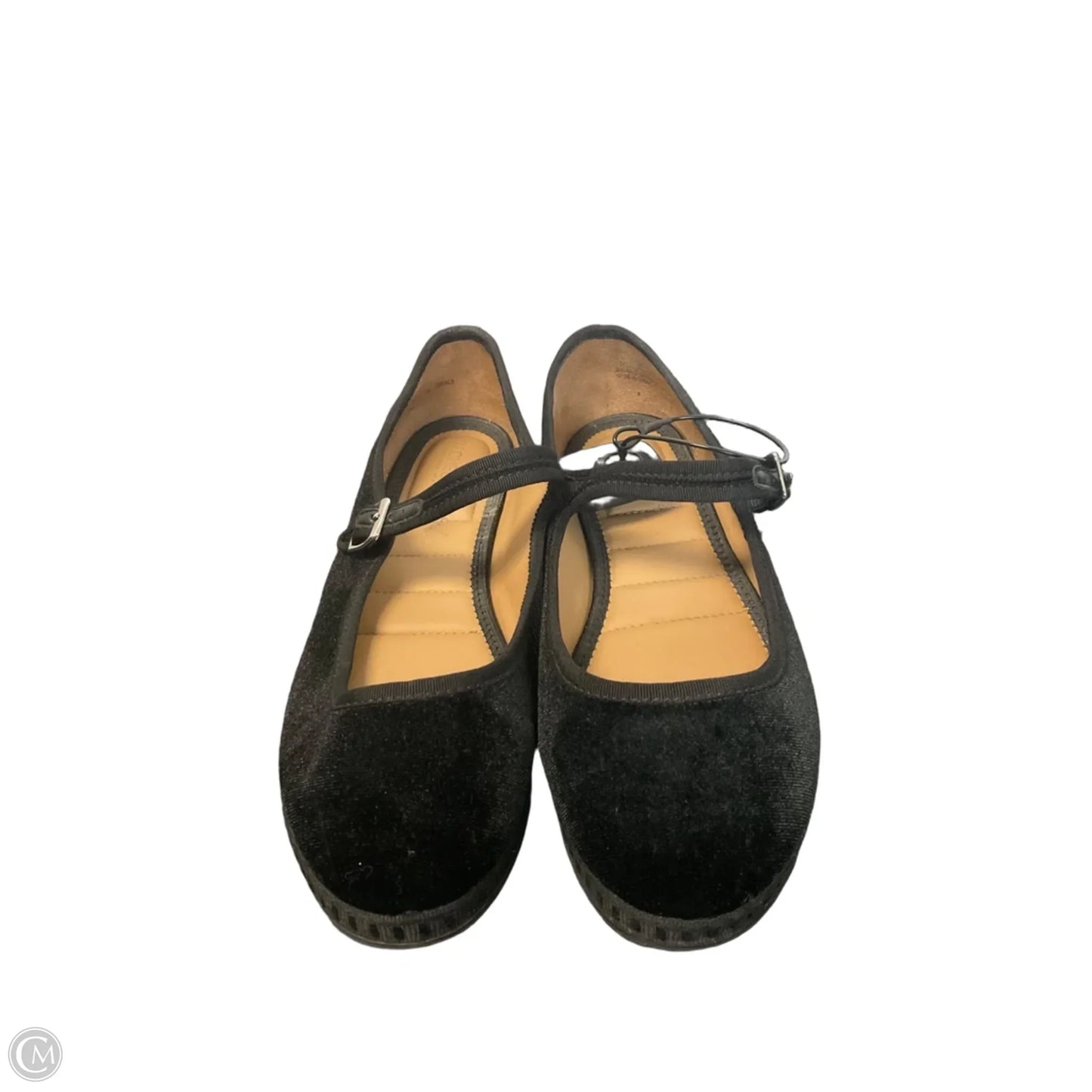 Shoes Flats By Rachel Zoe In Black, Size: 9.5