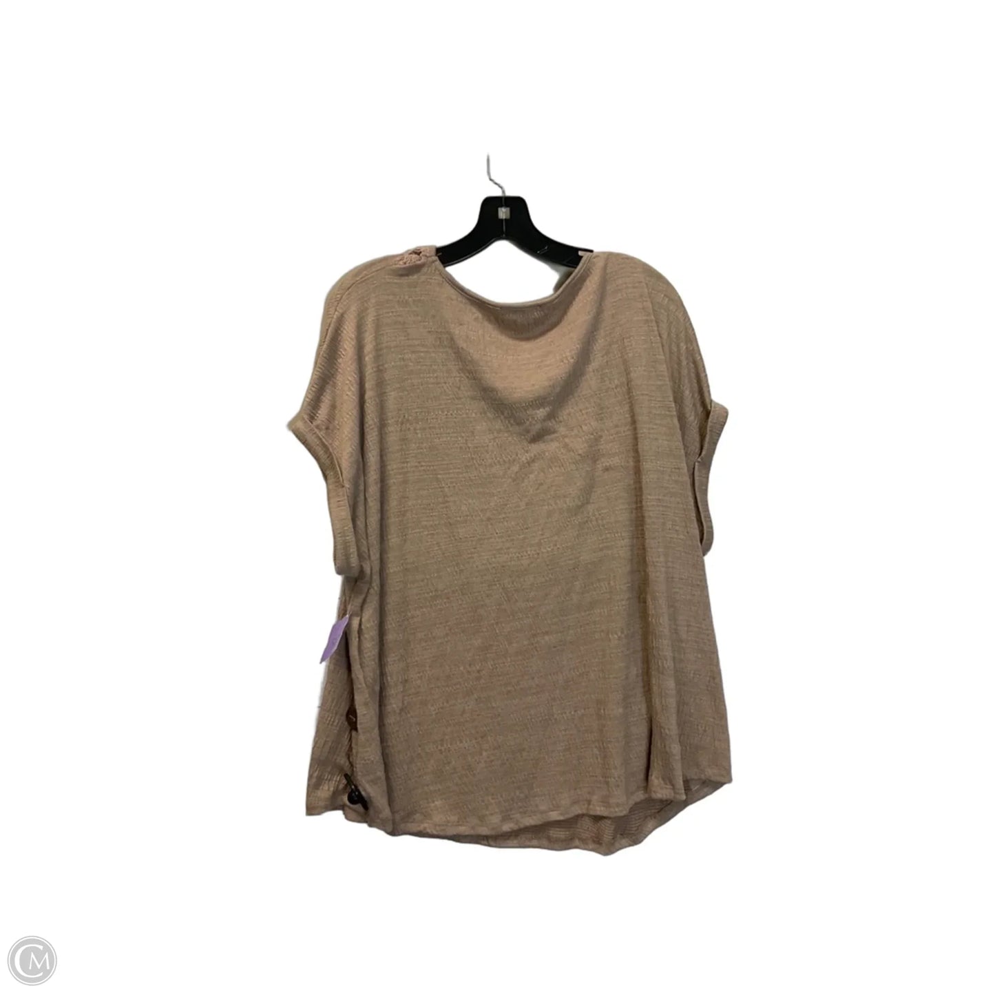 Top Short Sleeve By Cable And Gauge In Tan, Size: 2x