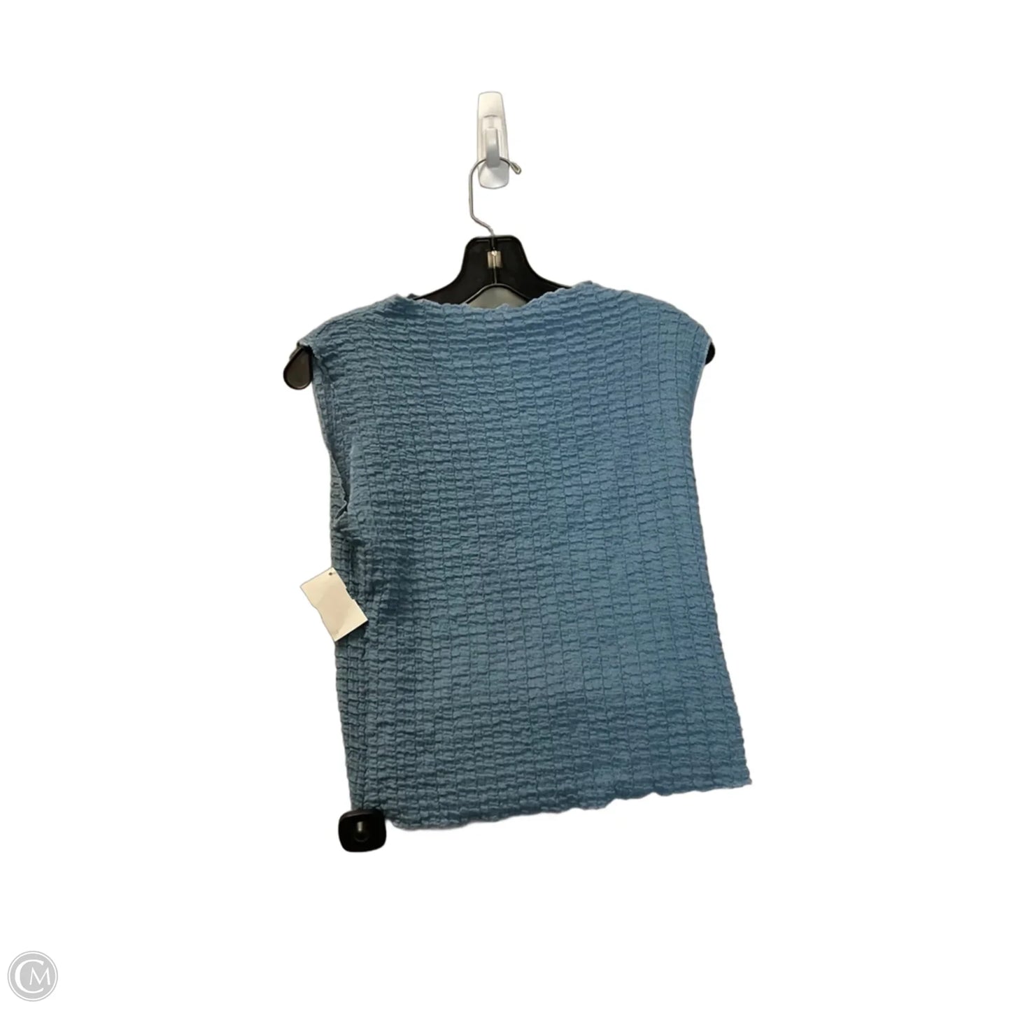 Top Sleeveless By Good Luck Gem In Blue, Size: M