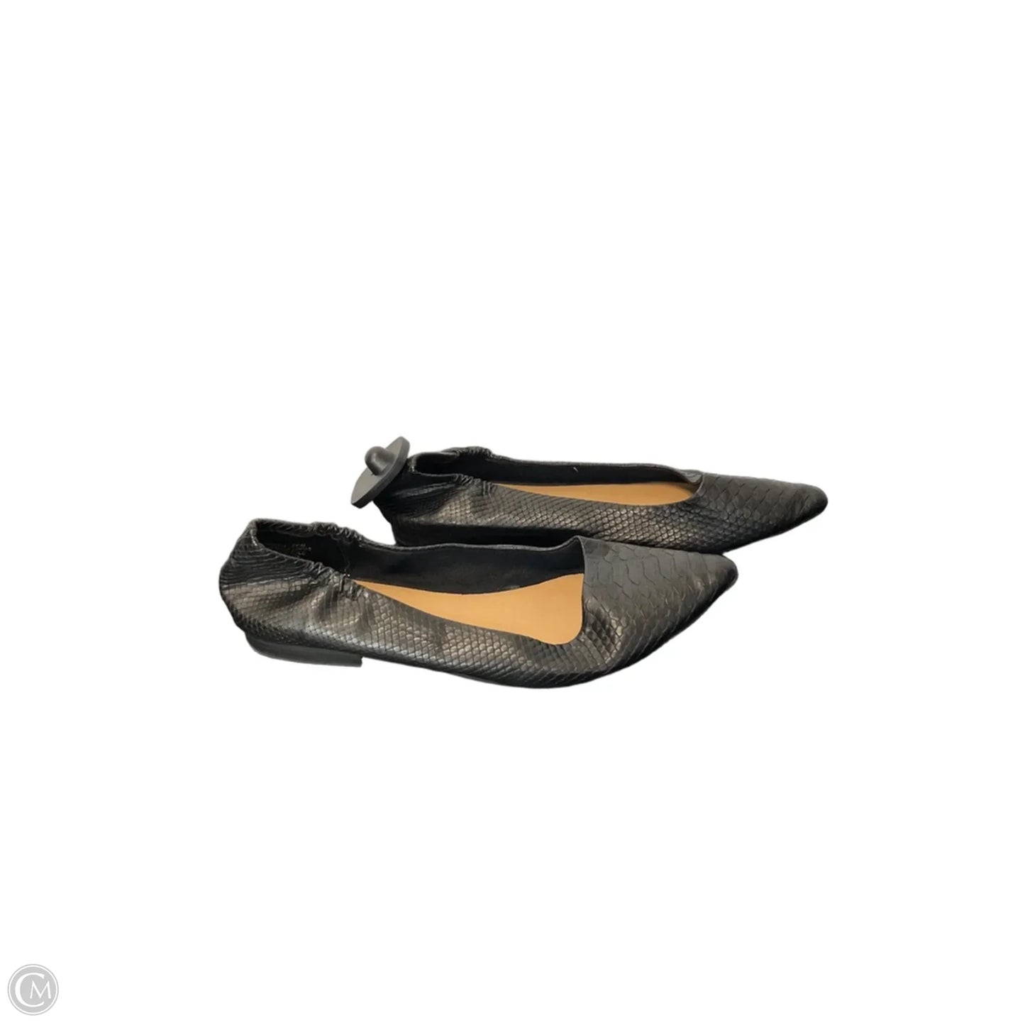 Shoes Flats By Crown And Ivy In Black, Size: 8.5