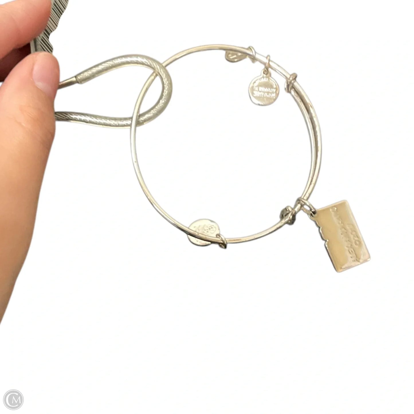 Bracelet Charm By Alex And Ani