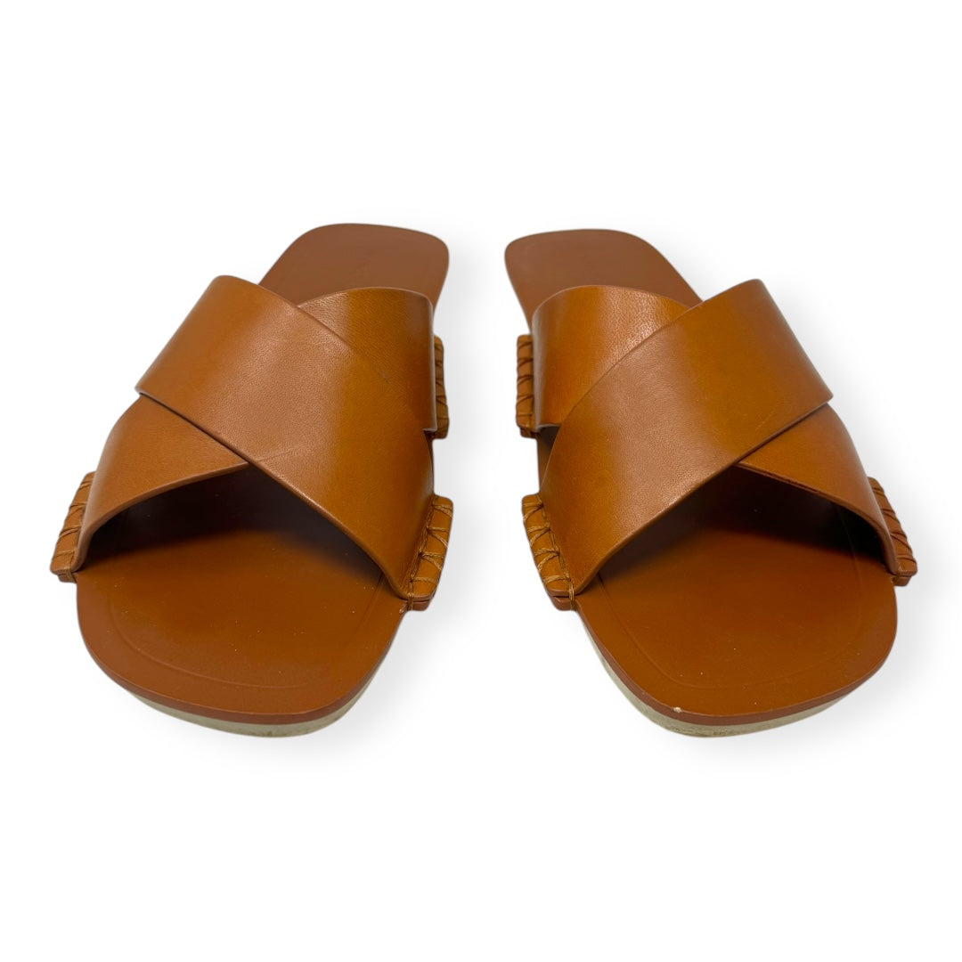 Sandals Designer By Vince  Size: 8
