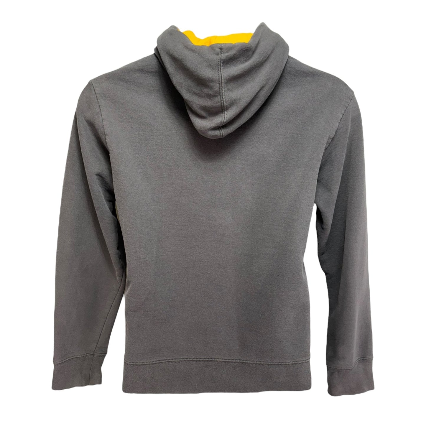 Athletic Sweatshirt Hoodie By The North Face In Grey, Size: M