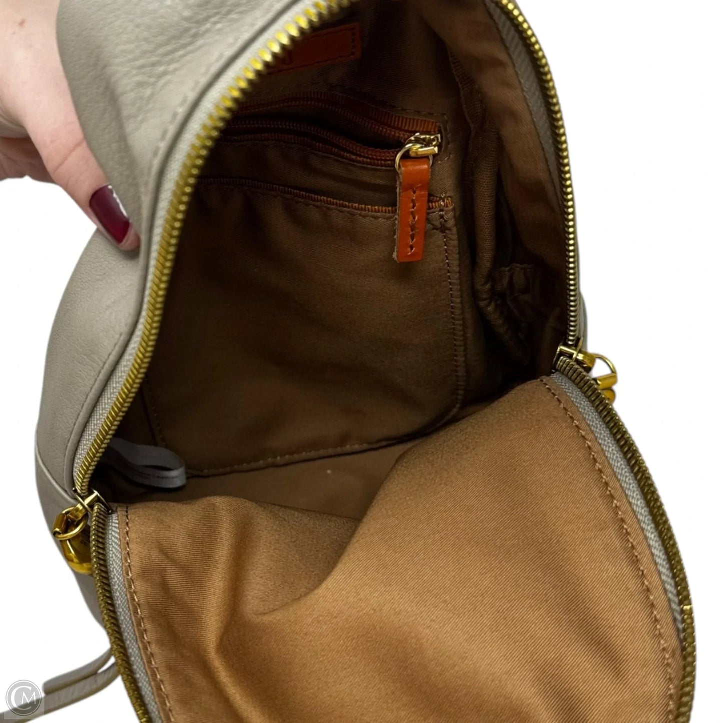 Fern Backpack By Hobo Intl, Size: Small