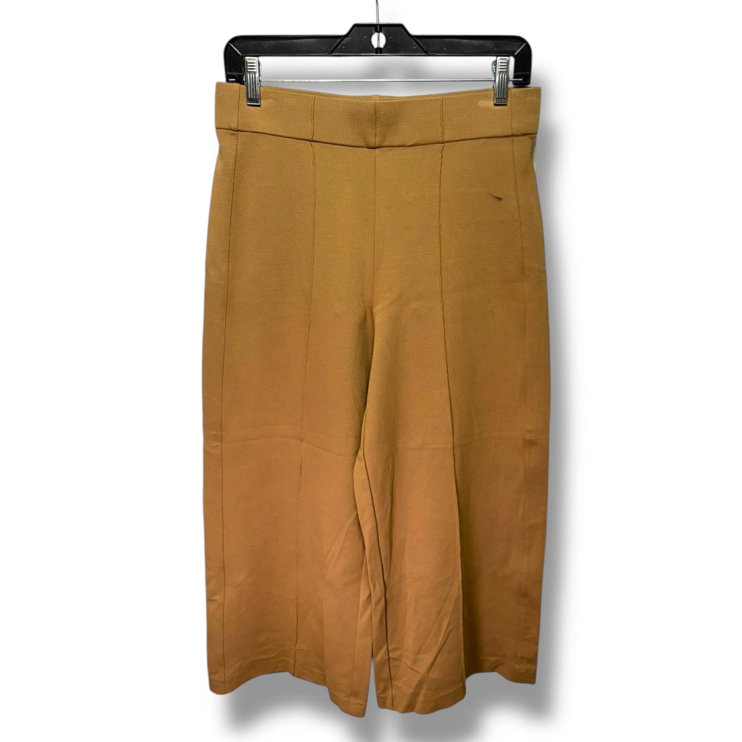 High Rise Cropped Pants By Jones New York In Tan, Size: M