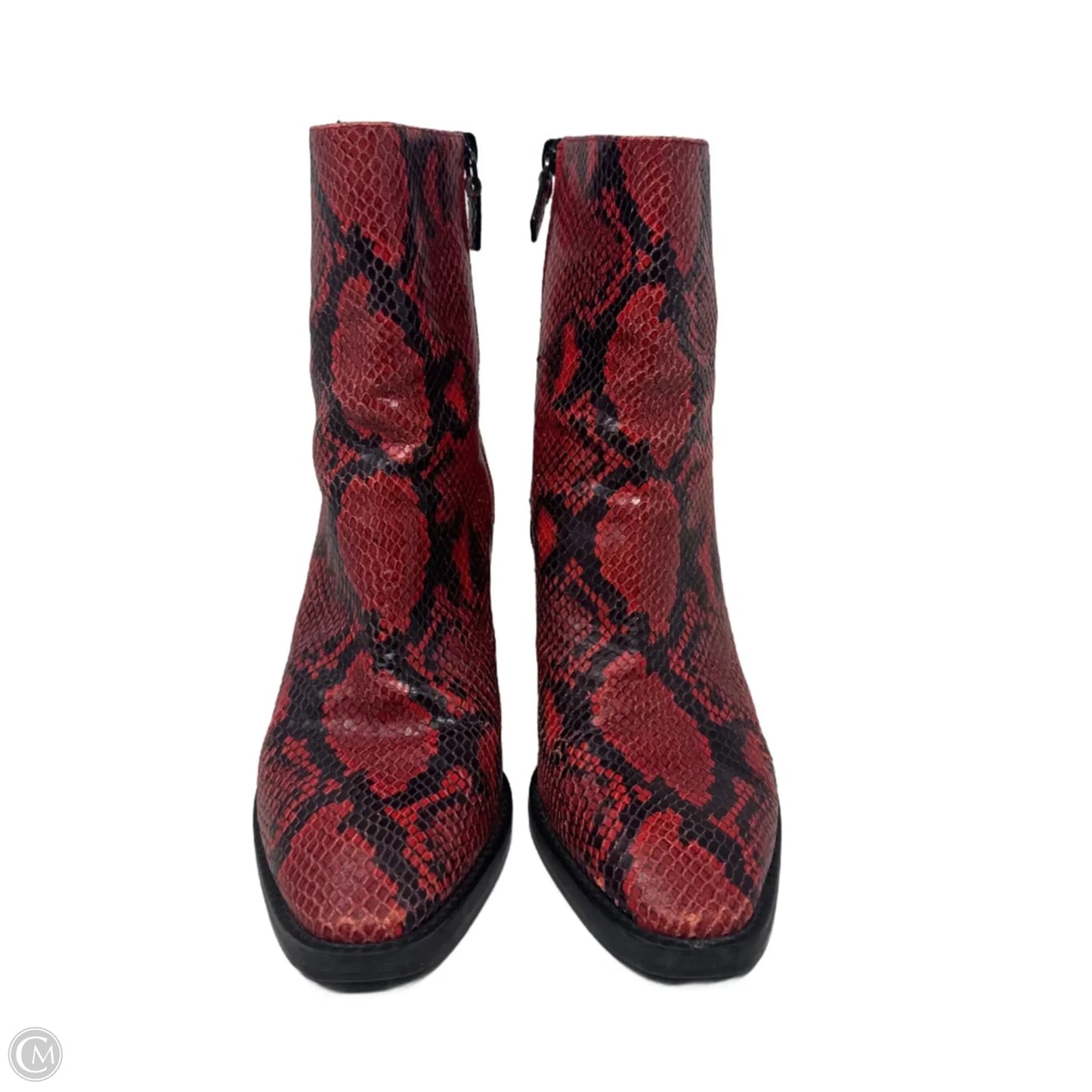 Boots Designer By Stuart Weitzman In Snakeskin Print, Size: 7