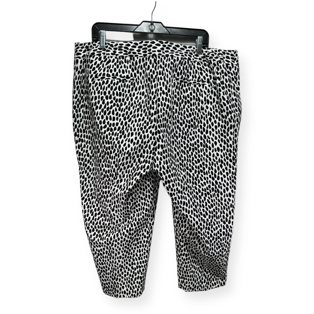 Animal Print Pants Other Talbots, Size 20