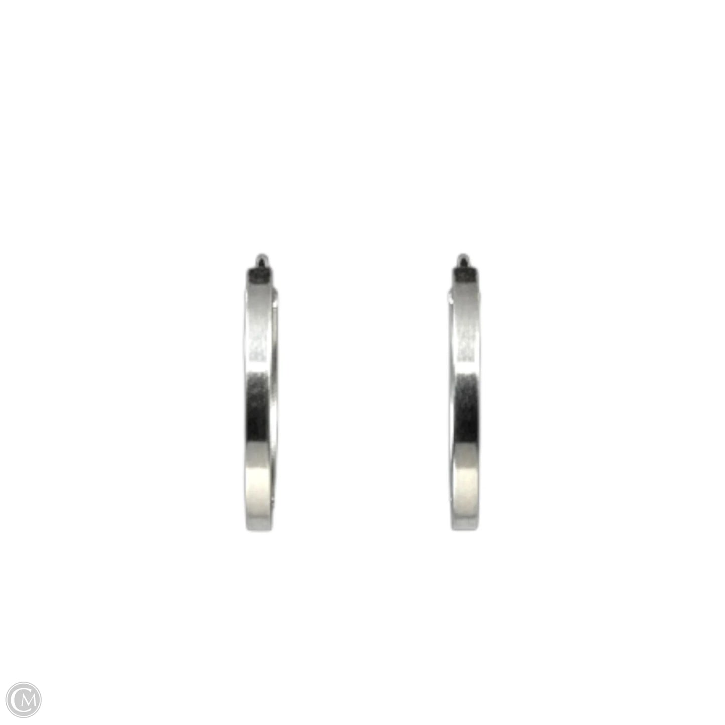 Earrings Sterling Silver By Clothes Mentor