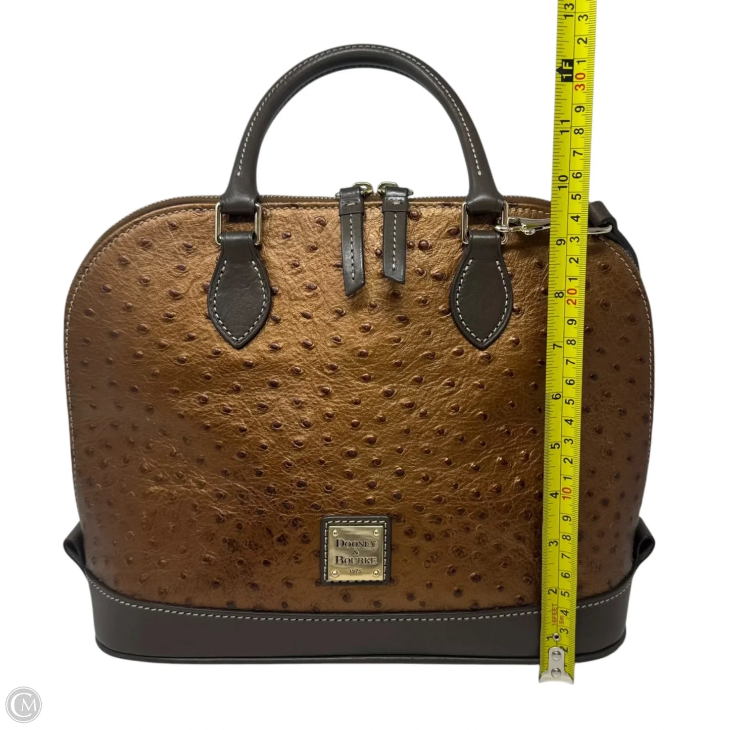 Zip Zip Ostrich Satchel Handbag Designer By Dooney And Bourke, Size: Medium