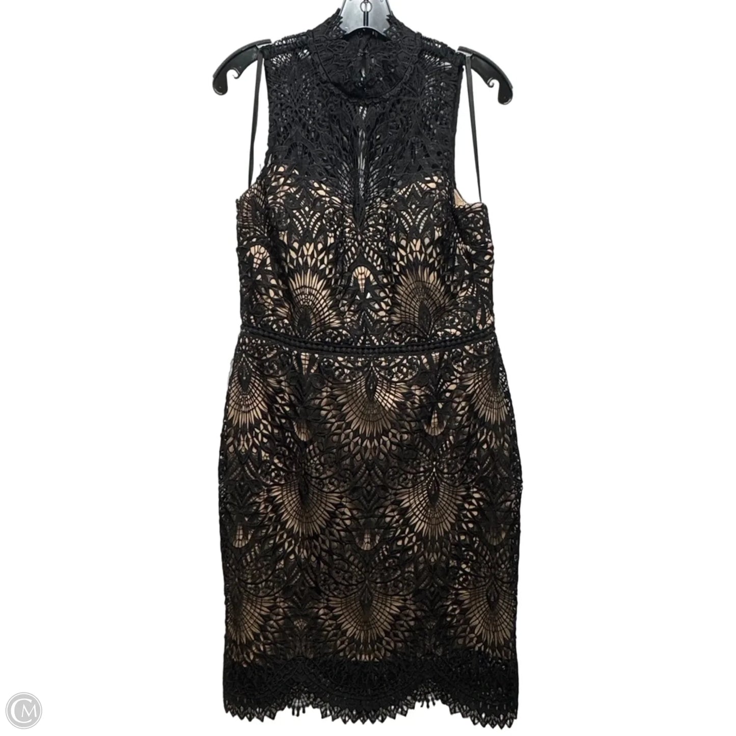 Dress Casual Short By Bhldn In Black, Size: 14