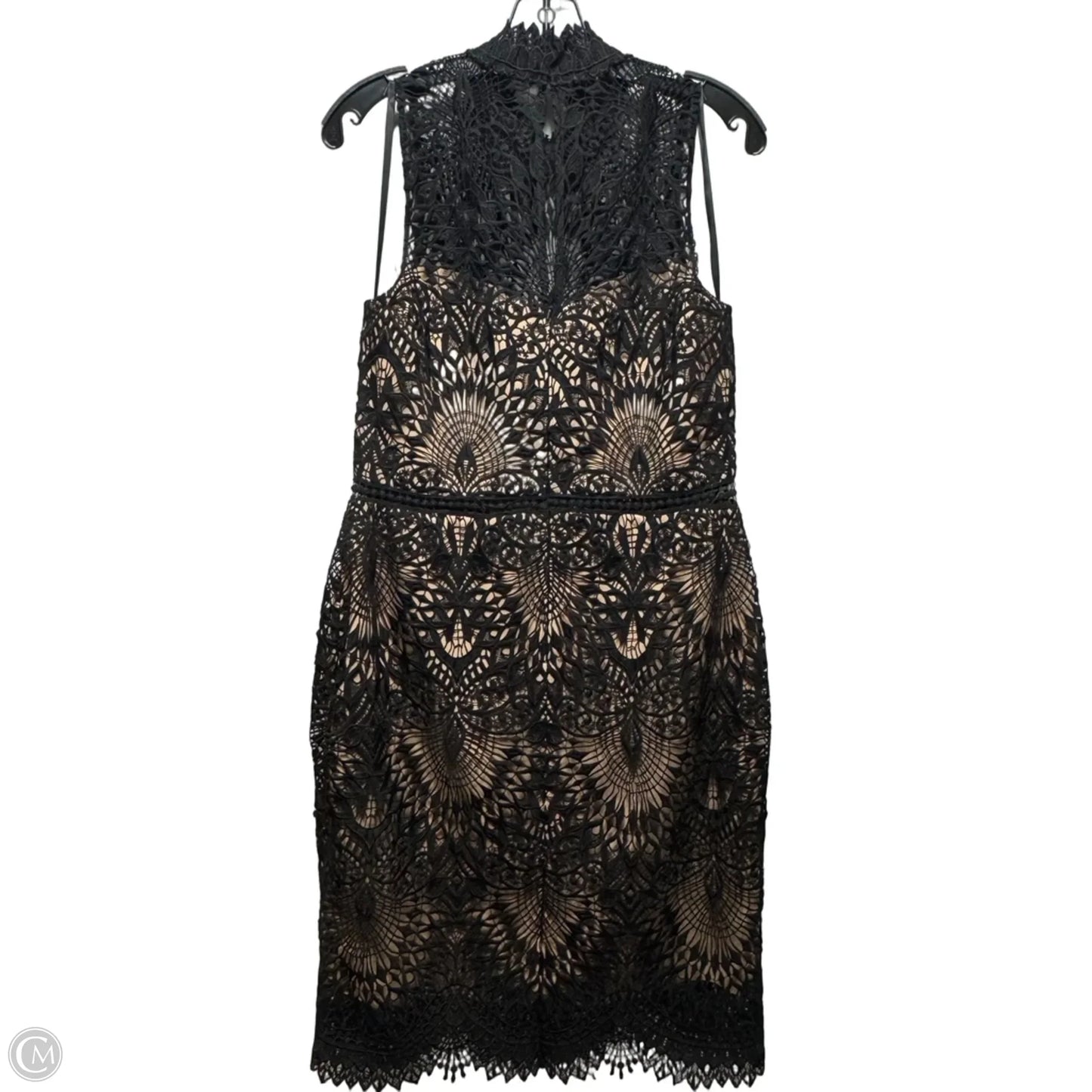 Dress Casual Short By Bhldn In Black, Size: 14