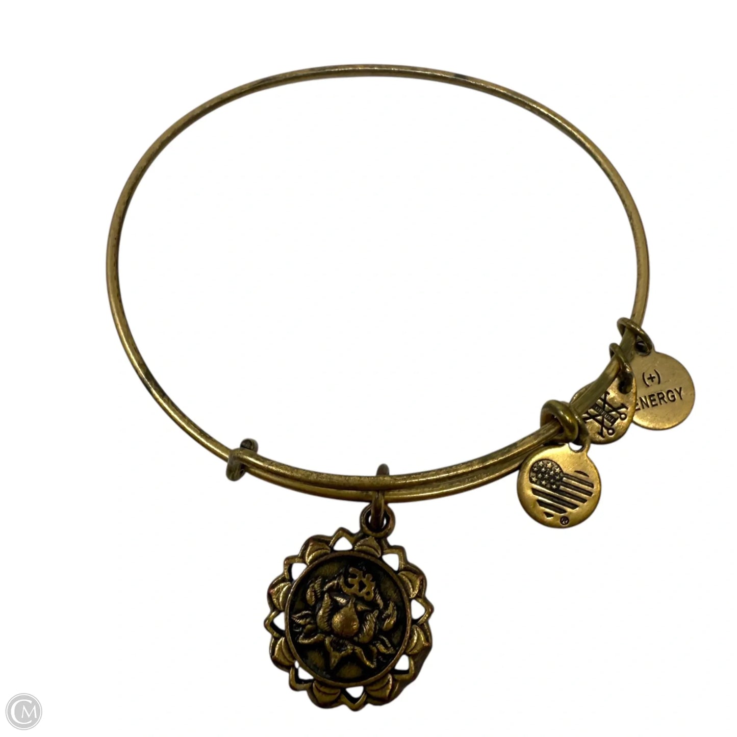 Coat Of Arms Medallion Charm Bracelet By Alex & Ani