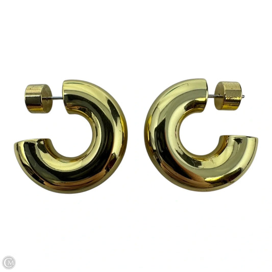 Chunky Gold Hoop Earrings Designer By Michael Kors