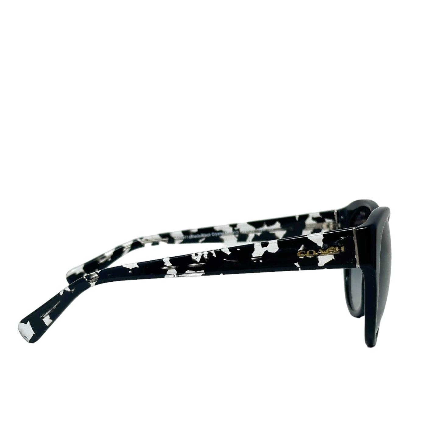HC8167 L155 Sunglasses Designer Coach